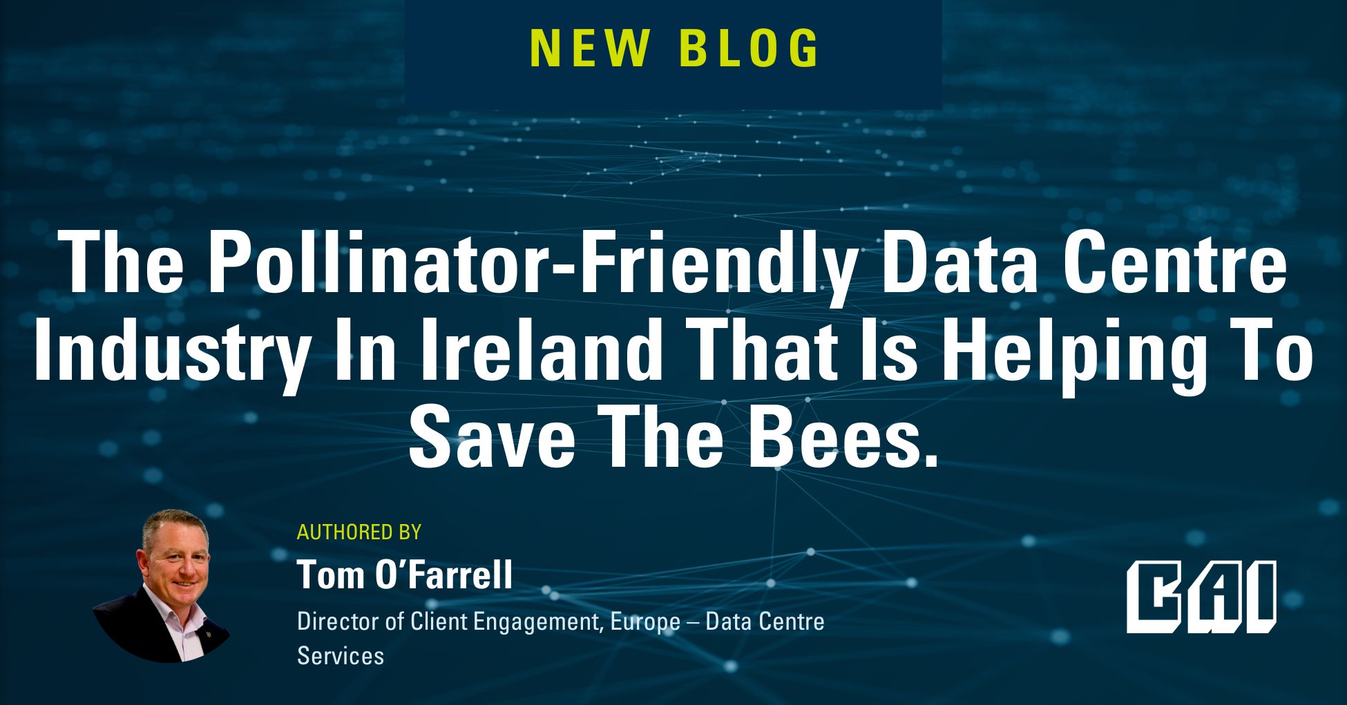 La industria irlandesa de centros de datos respetuosos con los polinizadores que está ayudando a salvar a las abejas.